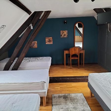 فندق La Ferme Des Bigornes Châtillon-sur-Indre المظهر الخارجي الصورة