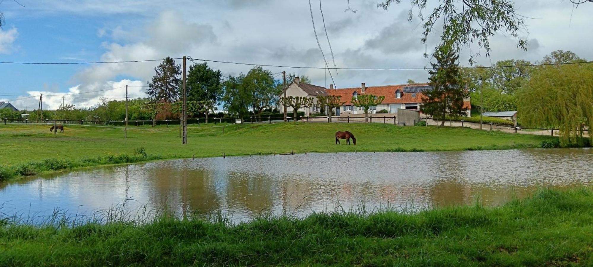 فندق La Ferme Des Bigornes Châtillon-sur-Indre المظهر الخارجي الصورة